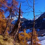 Stelvio