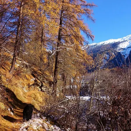 Hotel B&B Villa Stelvio
