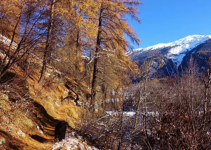 Ξενοδοχείο Stelvio